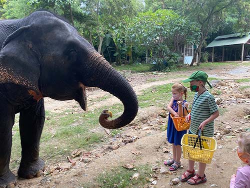 Kids with elephant