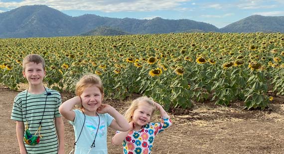 Kids in sunflower field