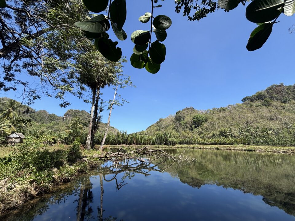 A serene tropical landscape featuring a calm, reflective pond surrounded by lush green vegetation, palm trees, and dense forest. In the background, rugged forested hills rise under a clear blue sky, with a small traditional wooden hut visible near the water's edge on the left.